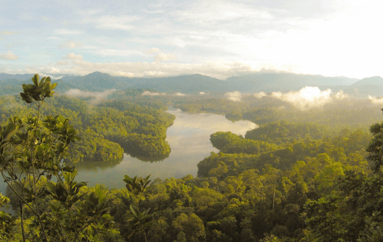 environmental impact image