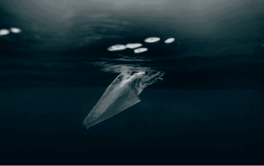 environmental impact image