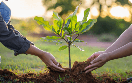 environmental impact image